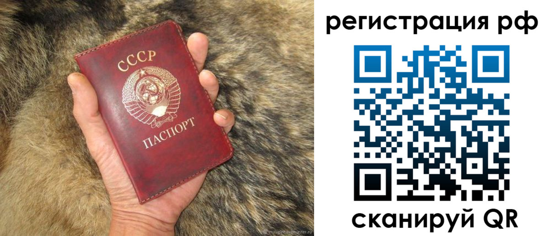 прописка для военкомата в Кировске